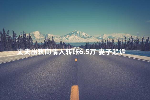 丈夫出轨向情人转账6.5万 妻子起诉